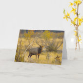 コロラド州のオオシカ カード (黄色い花)