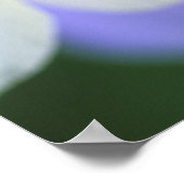 コロラド州のオダマキの花のクローズアップ。 ポスター (角)