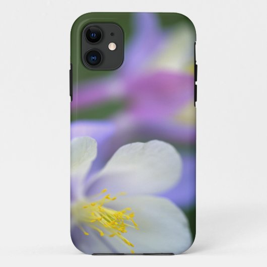 コロラド州のオダマキの花のクローズアップ。 Case-Mate iPhoneケース (裏面)