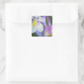 コロラド州のオダマキ(植物)の花の近く。 スクエアシール (バッグ)