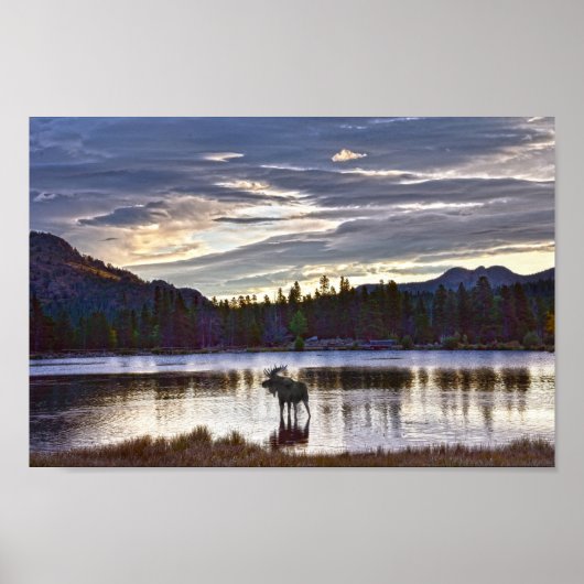 コロラド州のスプリングレイクにあるブルムース ポスター (正面)