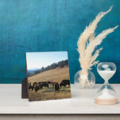 コロラド州のバイソン フォトプラーク (インサイチュ)