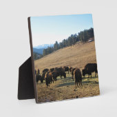 コロラド州のバイソン フォトプラーク (正面)