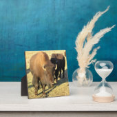 コロラド州のバイソン フォトプラーク (インサイチュ)