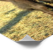 コロラド州のバイソン ポスター (角)