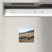 コロラド州のバイソン マグネット (インサイチュ (食洗機))