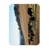 コロラド州のバイソン マグネット (縦)