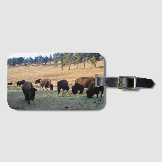 コロラド州のバイソン ラゲッジタグ (正面横)