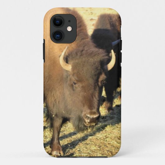 コロラド州のバイソン Case-Mate iPhoneケース (裏面)