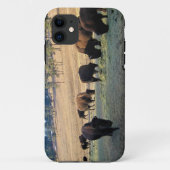 コロラド州のバイソン Case-Mate iPhoneケース (裏面)