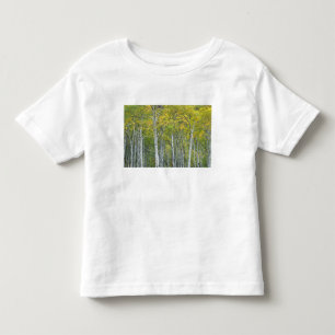 コロラド州のマクルーレ峠の秋のハクヨウカンバ トドラーTシャツ
