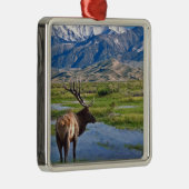 コロラド州のロッキー山脈のオオシカ メタルオーナメント (右)
