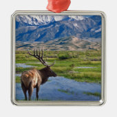 コロラド州のロッキー山脈のオオシカ メタルオーナメント (正面)