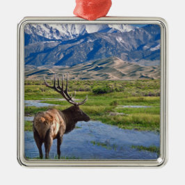 コロラド州のロッキー山脈のオオシカ メタルオーナメント