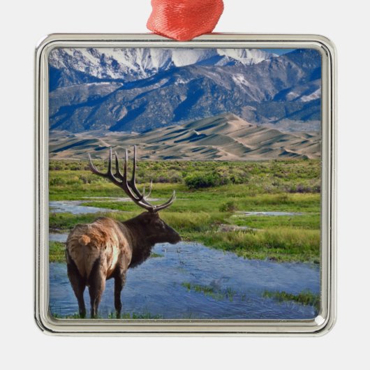 コロラド州のロッキー山脈のオオシカ メタルオーナメント (正面)