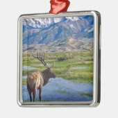 コロラド州のロッキー山脈のオオシカ メタルオーナメント (左)