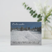 コロラド州の冬のワンダーランド ポストカード (スタンド正面)