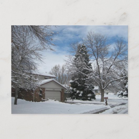 コロラド州の冬 ポストカード (正面)