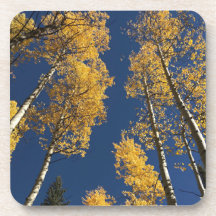 コロラド州の味を提供するカラフル