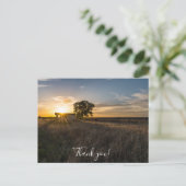 コロラド州の廃小屋　サンセット　感謝の気持ちのポストカード ポストカード (スタンド正面)