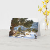 コロラド州の挨拶 カード (黄色い花)