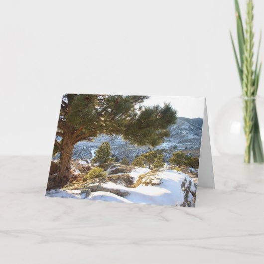 コロラド州の挨拶 カード (正面)