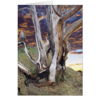 コロラド州の日没