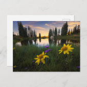 コロラド州の池上の落ち着いた日の出 ポストカード (正面/裏面)