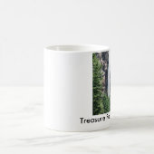 コロラド州の滝のマグ コーヒーマグカップ (中央)