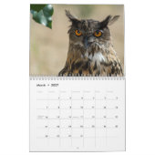 コロラド州の猛禽のカレンダー カレンダー (3月 2027)