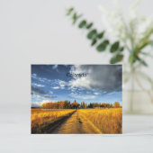 コロラド州の秋の牧場 ポストカード (スタンド正面)