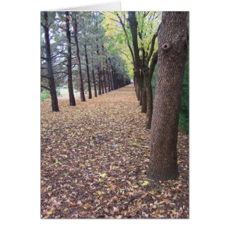 コロラド州の秋の車線