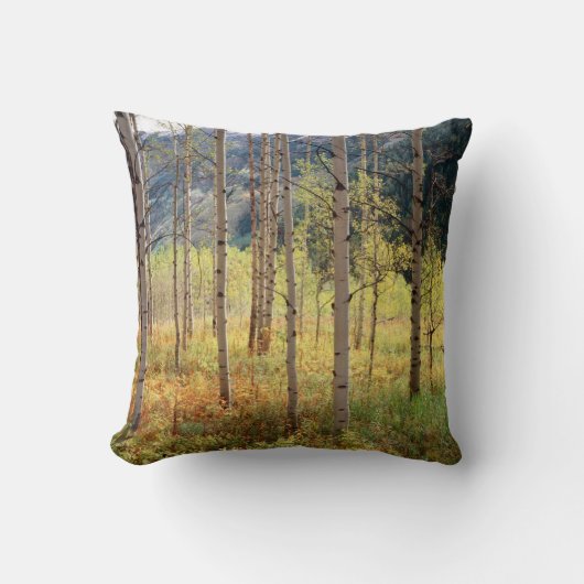 コロラド州の秋の《植物》アスペン クッション (正面)