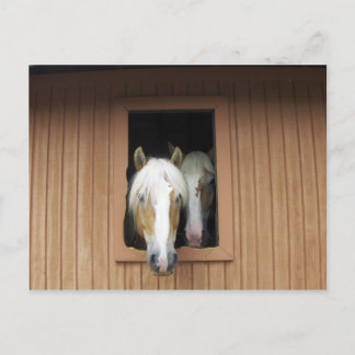 コロラド州の納屋にパラミノウズマ ポストカード