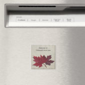 コロラド州の誰かがYou Magnetを愛している マグネット (インサイチュ (食洗機))