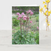 コロラド州の鳩のバースデー・カード カード (黄色い花)