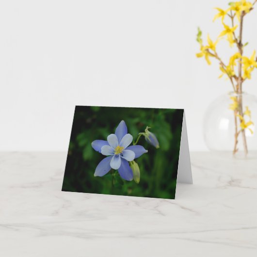 コロラド州の鳩のメッセージカード カード (黄色い花)