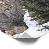 コロラド州アレン公園，セントマロ教会 ポスター (角)