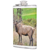 コロラド州エステス公園の男性エルク9月 フラスク (左)