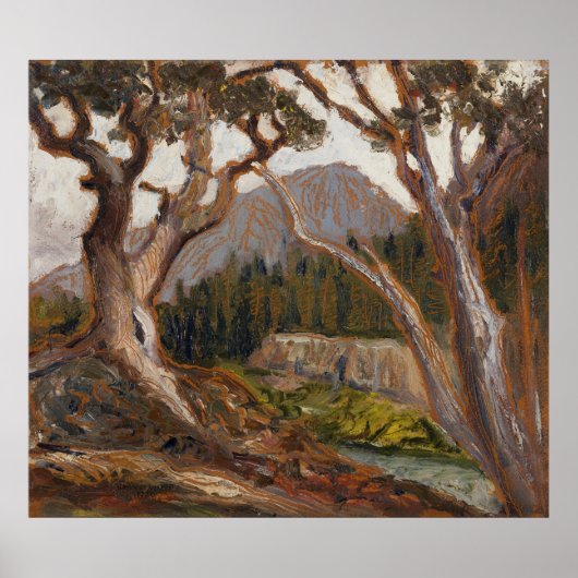 コロラド州エステス・パークのロッチ・ヴェールからロング・ピーク ポスター (正面)