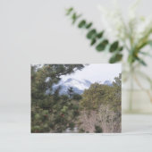 コロラド州エステパークハガキ ポストカード (スタンド正面)