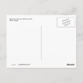 コロラド州エバンス山葉書 ポストカード (裏面)