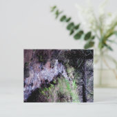 コロラド州エバーグリーンのはがき ポストカード (スタンド正面)