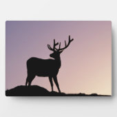 コロラド州エルクロッキーマウンテン国立公園 フォトプラーク (正面)