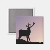 コロラド州エルクロッキーマウンテン国立公園 マグネット (正面/裏面)