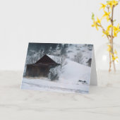 コロラド州エルドラの冬 カード (黄色い花)
