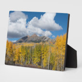 コロラド州ガンニソン国有林 フォトプラーク (側面)