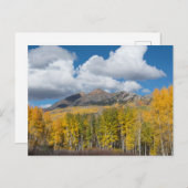 コロラド州ガンニソン国有林 ポストカード (正面/裏面)