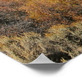 コロラド州ガンニソン川の秋 ポスター (角)