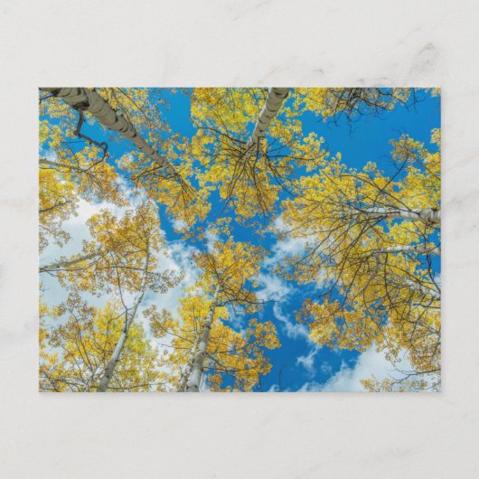 コロラド州ガンニソン ポストカード (正面)